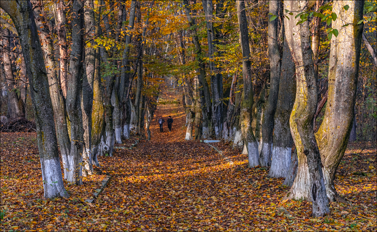 Naslavcea Taul Mindic 20201121 276