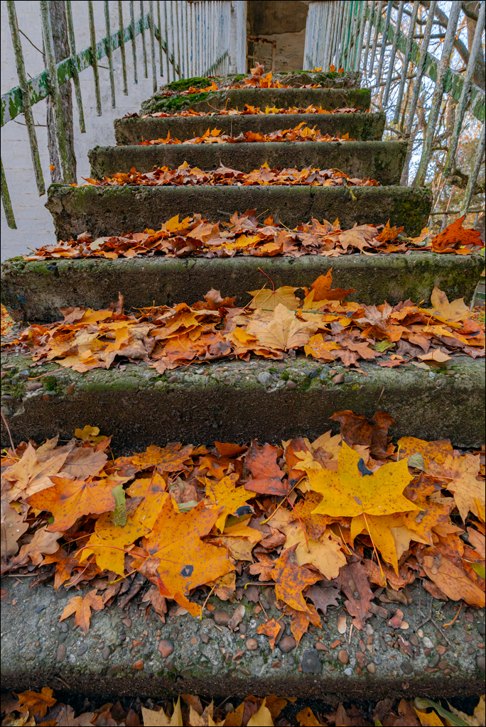 Naslavcea Taul Mindic 20201121 286