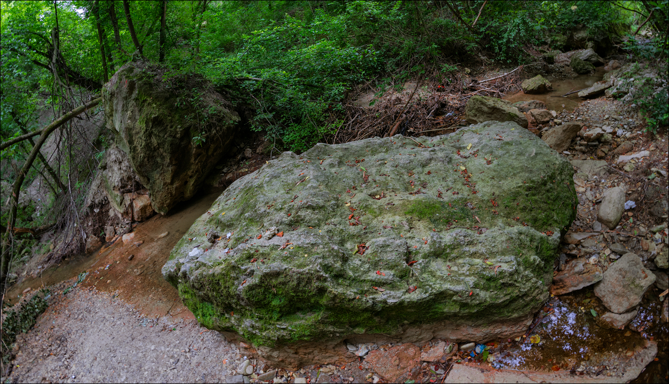 Soroca Ciuhuresti Saharna 20190427104