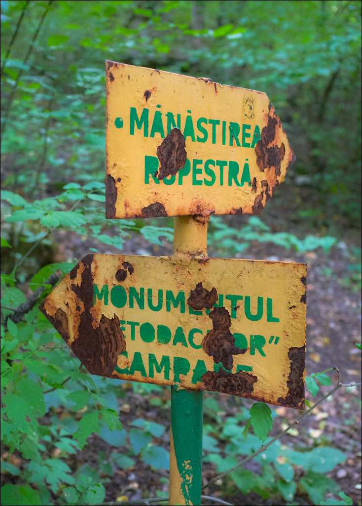 Soroca Ciuhuresti Saharna 20190427197