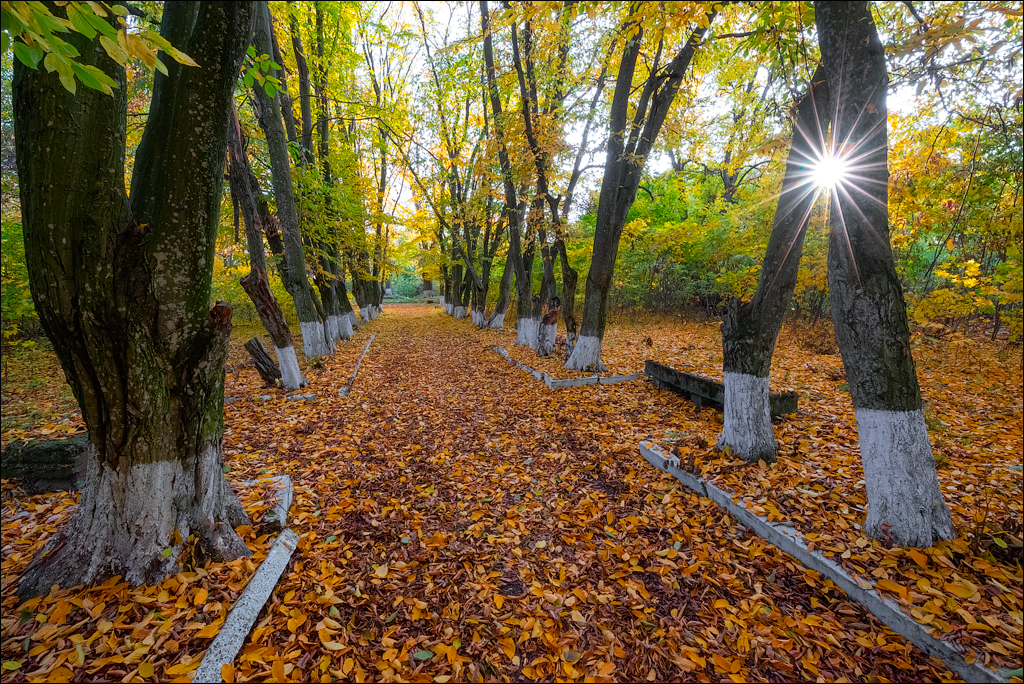 Taul Mindic122719 200