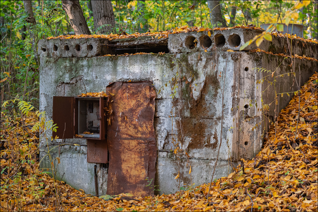 Taul Mindic122719 203