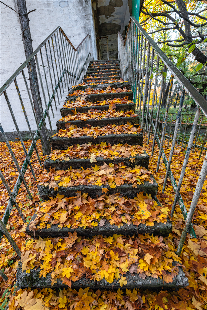 Taul Mindic122719 210