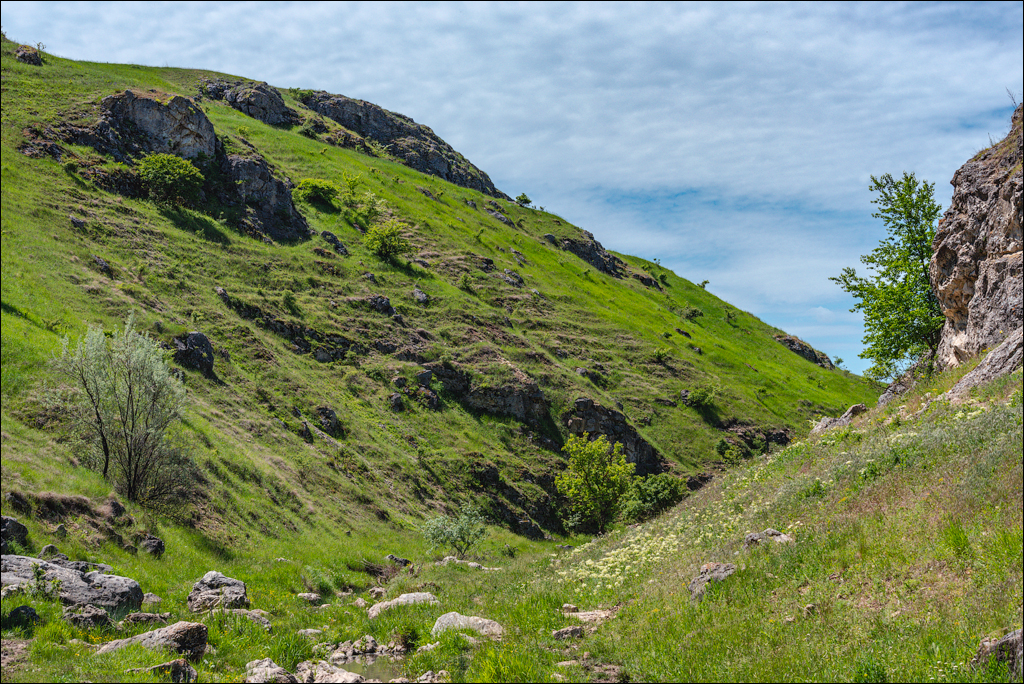 Varatic Duruitioarea Butesti 20210523 123