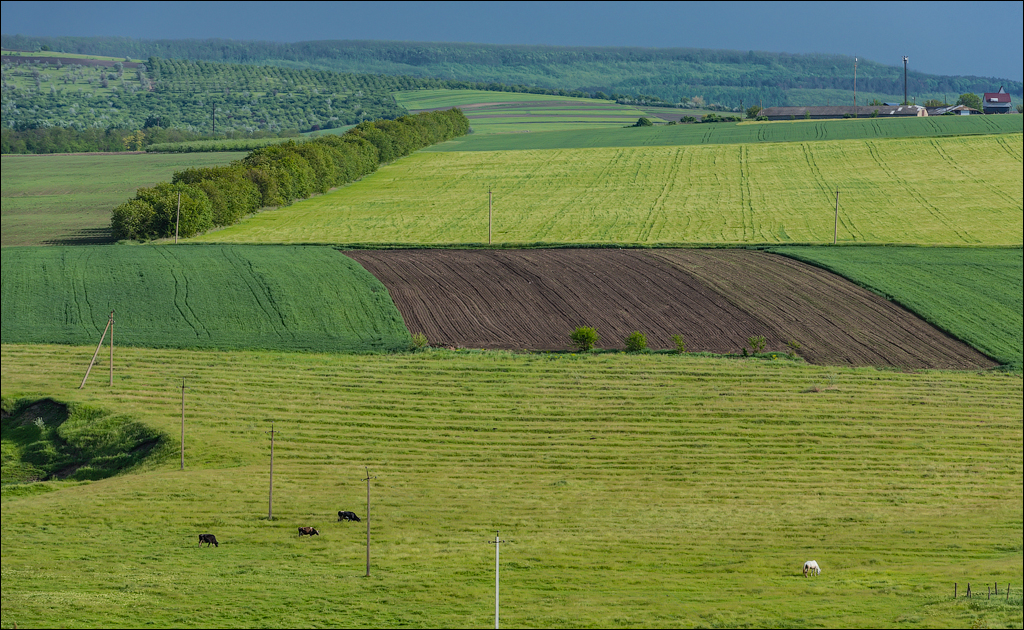 Varatic Duruitioarea Butesti 20210523 154