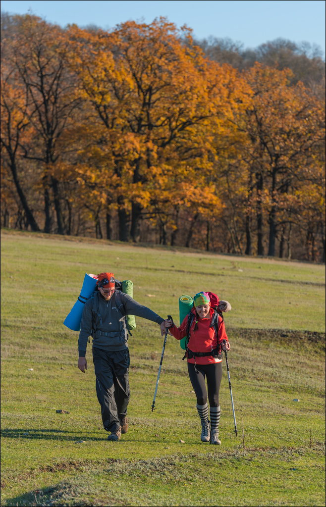 Brinzeni Trinca 20171110101