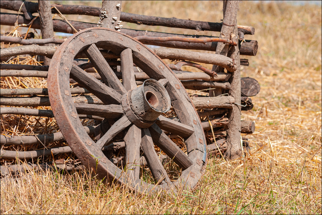 Gustar 201308242006 192