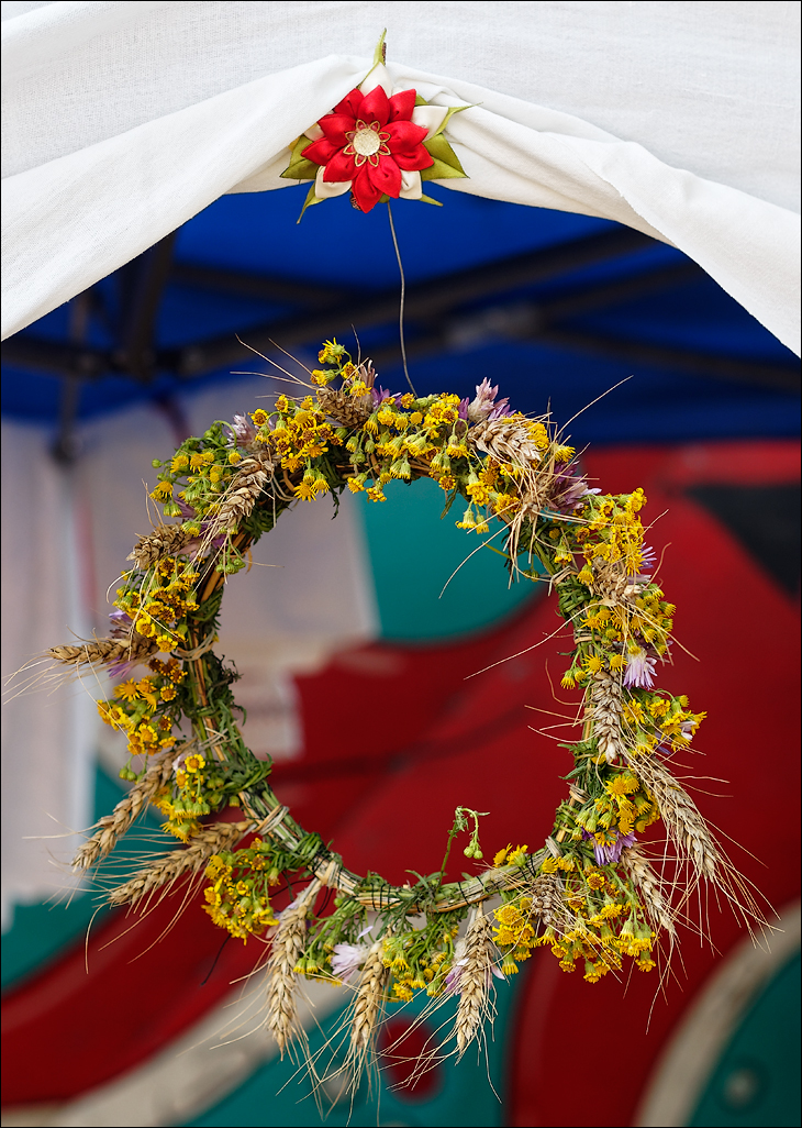 Gustar 201616080312217