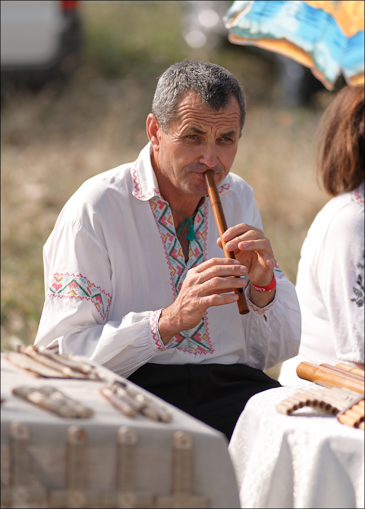 Gustar 201616080540944