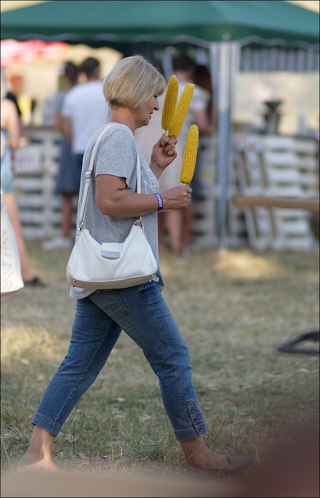 Gustar 201616080562128