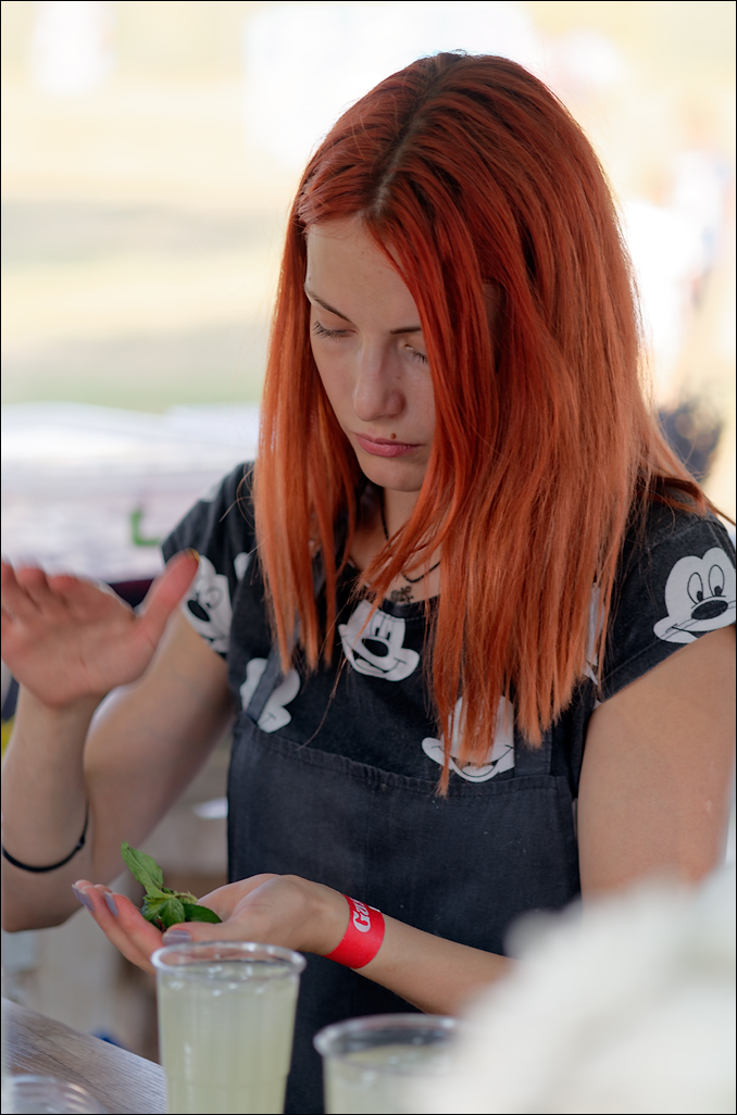 Gustar 201616080952148