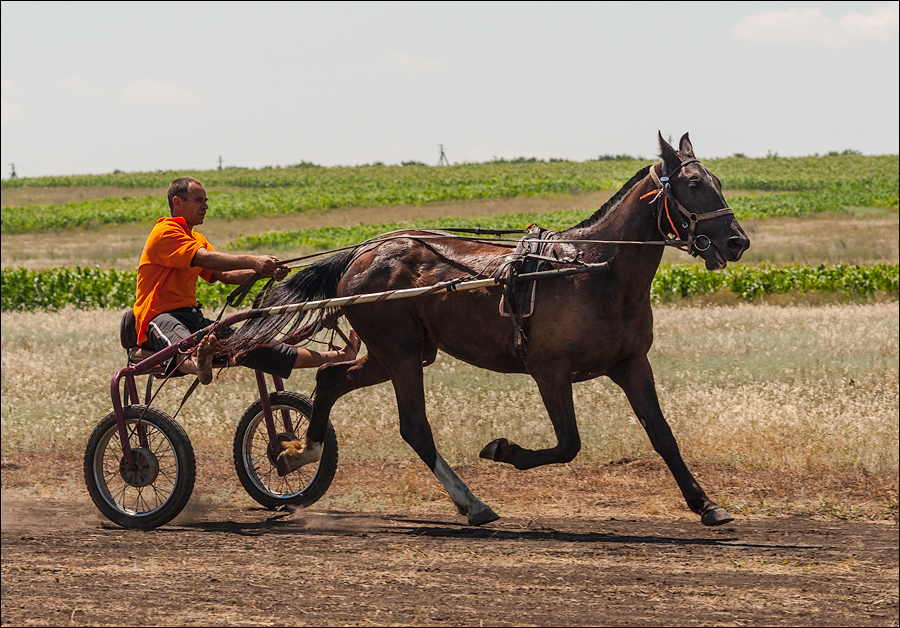 Tvardita 20150721143
