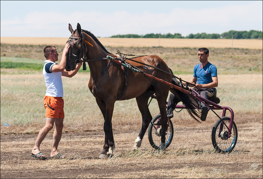Tvardita 20150721145