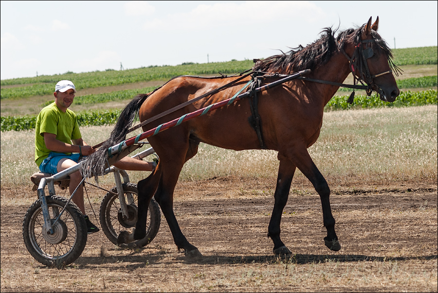Tvardita 20150721152