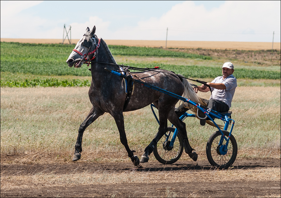 Tvardita 20150721154