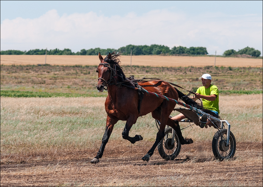 Tvardita 20150721161