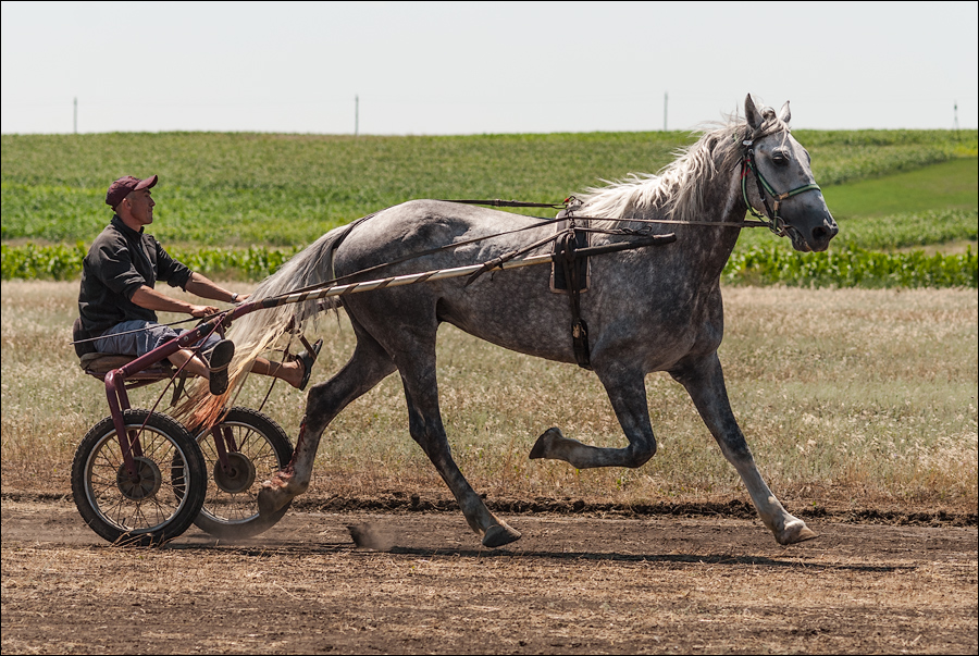 Tvardita 20150721171