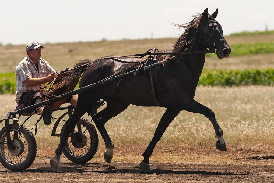 Tvardita 20150721174