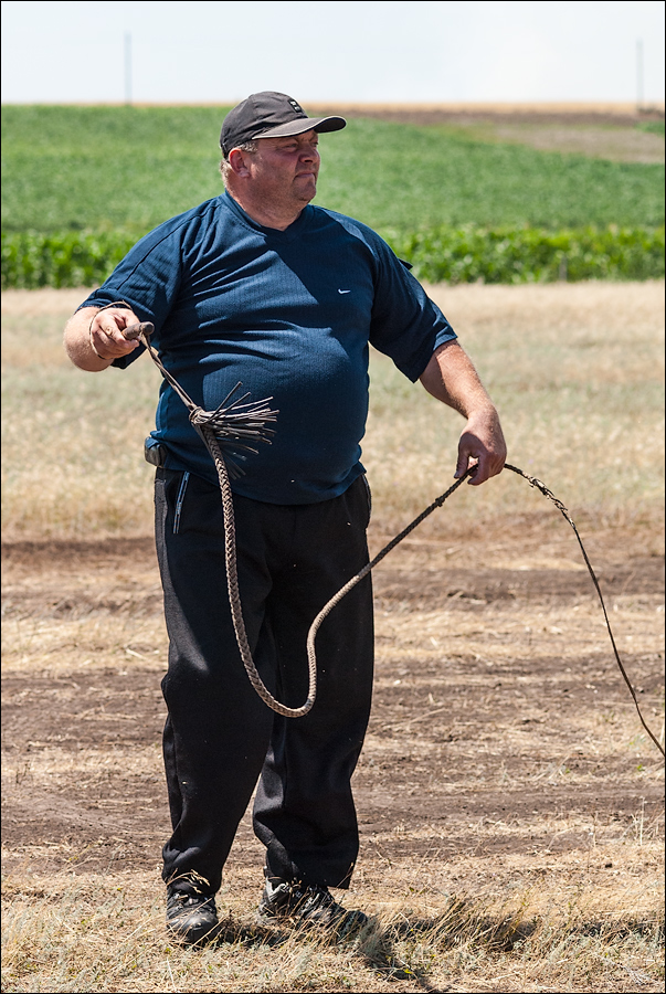 Tvardita 20150721179