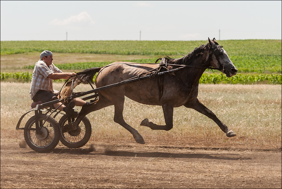 Tvardita 20150721184