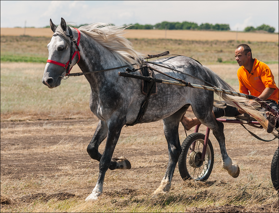Tvardita 20150721187