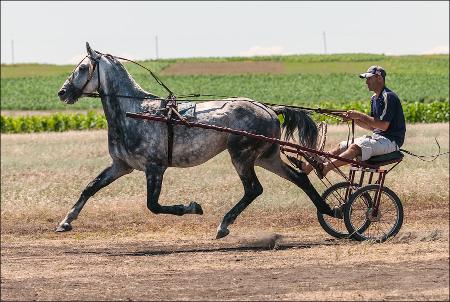 Tvardita 20150721204