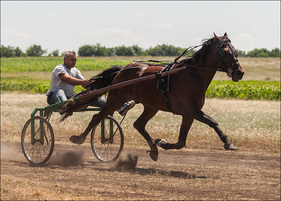 Tvardita 20150721210