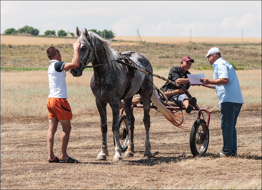 Tvardita 20150721211