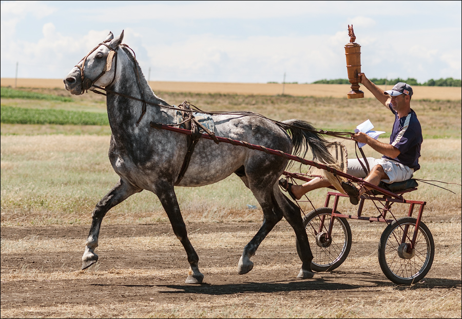 Tvardita 20150721212