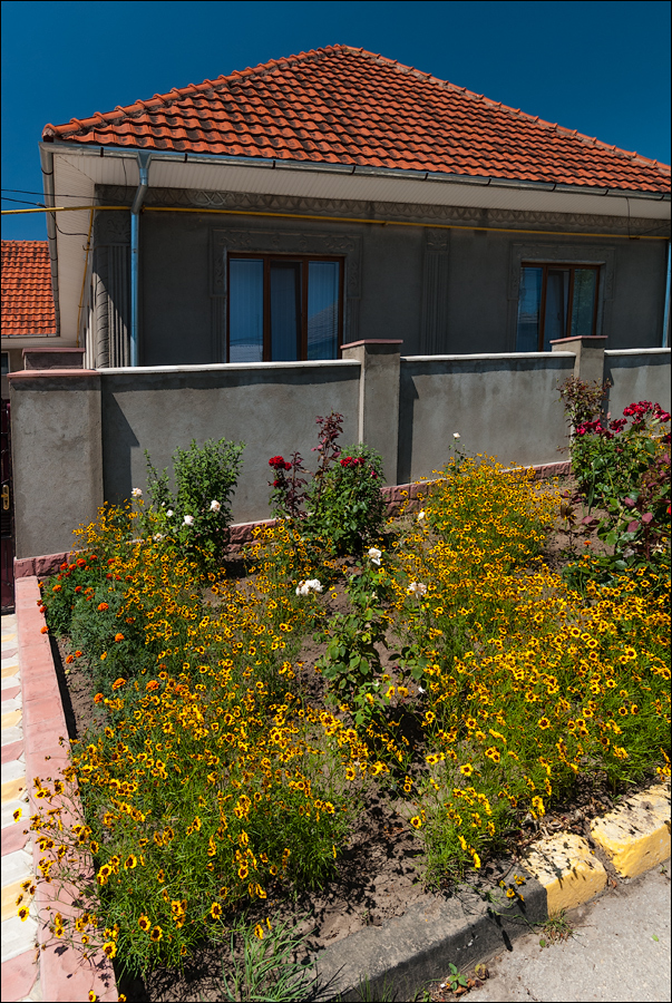 Tvardita 20150721216