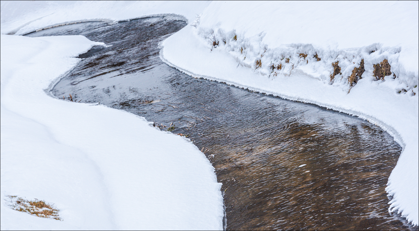 Soldanesti Ciorna 20210221 132