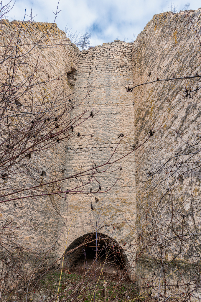 Soldanesti Ciorna 20210221 137