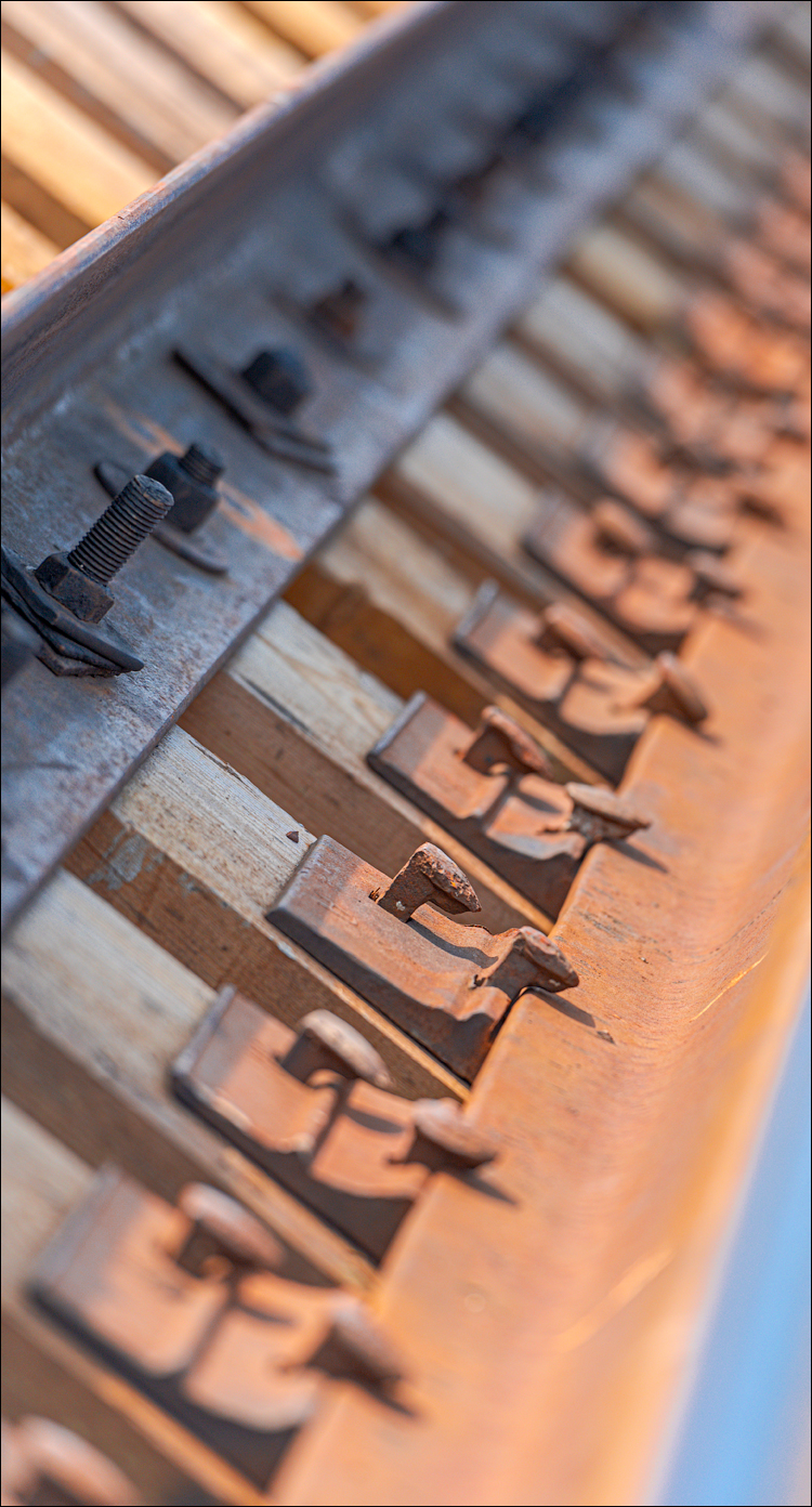 Soldanesti Ciorna 20210221 144