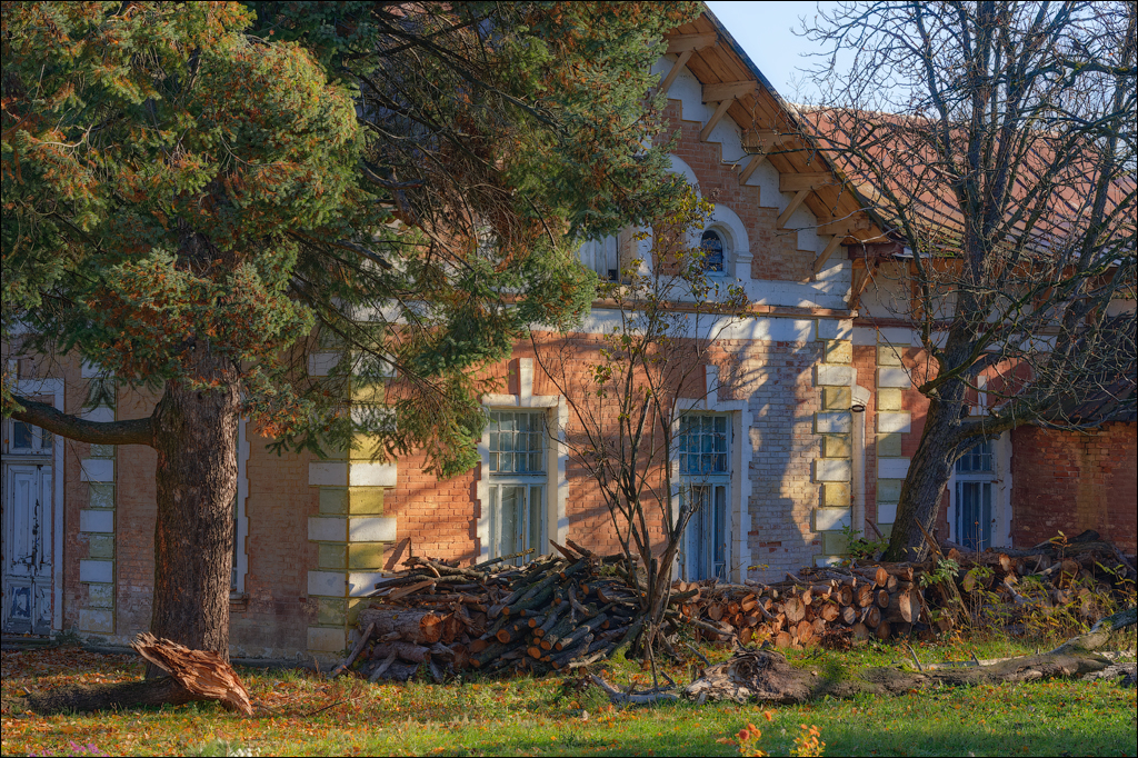 Taul Mindic Oliscani 2024 115