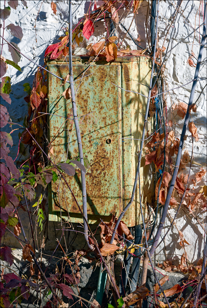 Taul Mindic Oliscani 2024 151