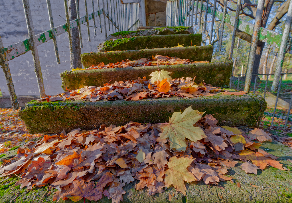 Taul Mindic Oliscani 2024 203