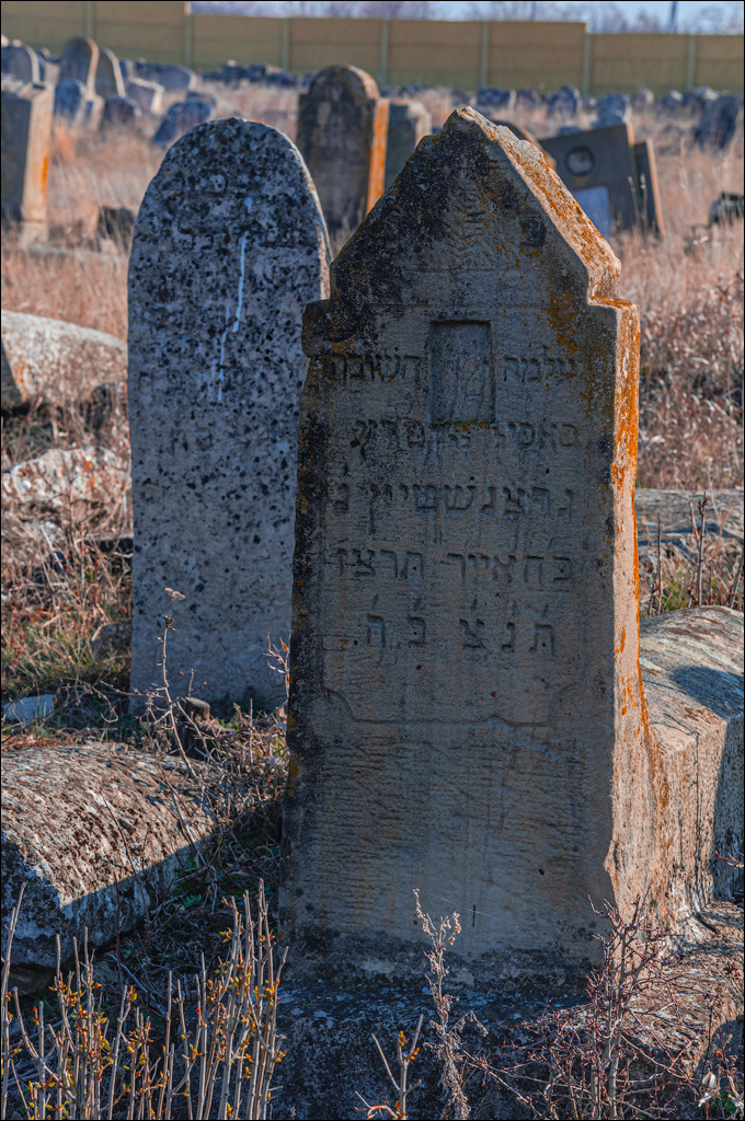 Capresti Cazanesti 10mar2024135