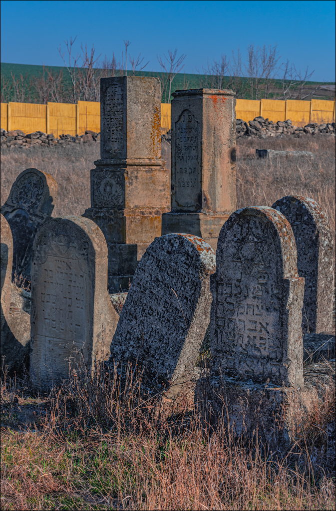 Capresti Cazanesti 10mar2024138