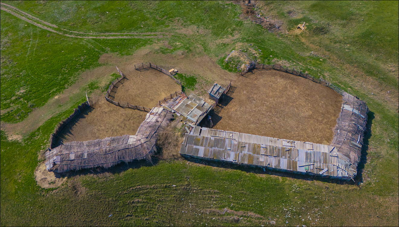 Capresti Cazanesti 10mar2024177