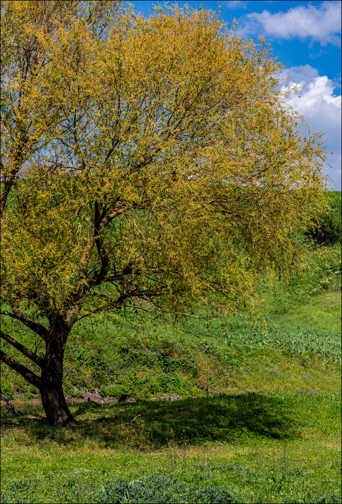 Ciuhur Horodiste Stolniceni 2021059 10 128