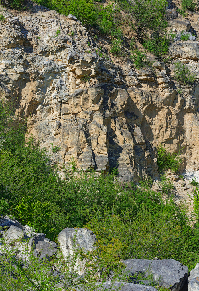 Corjeuti Gordinesti 4 6May2024 356