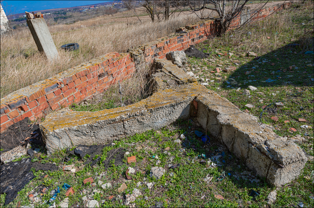 Danceni GrapeInst 24mar2024 104