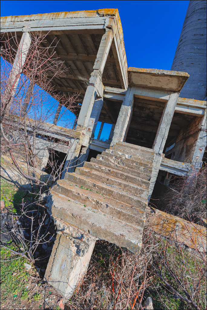 Danceni GrapeInst 24mar2024 119