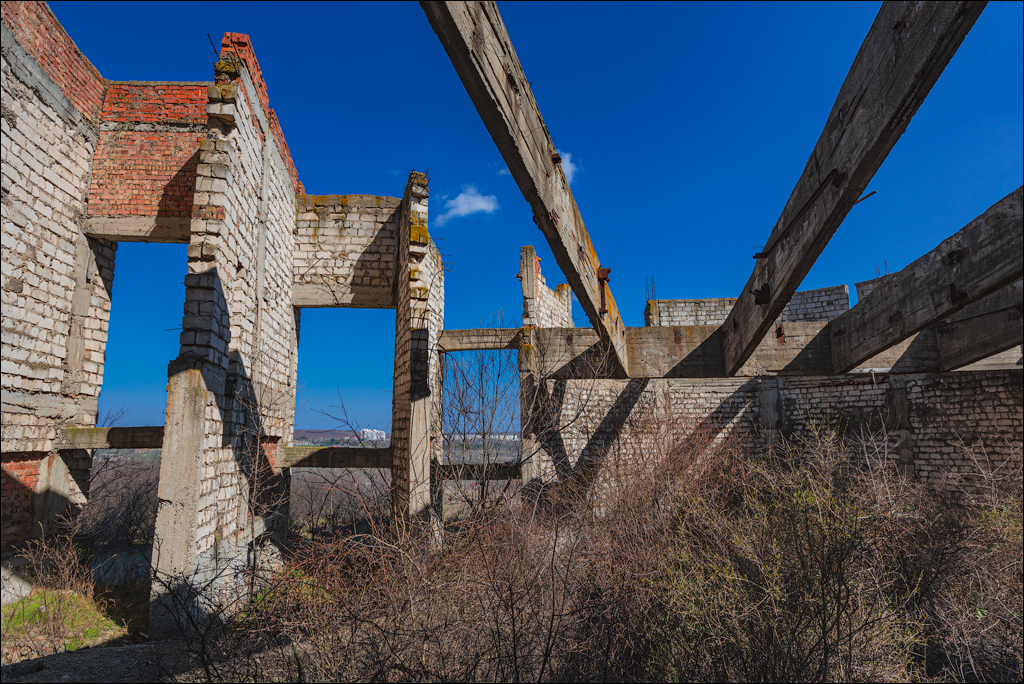 Danceni GrapeInst 24mar2024 127