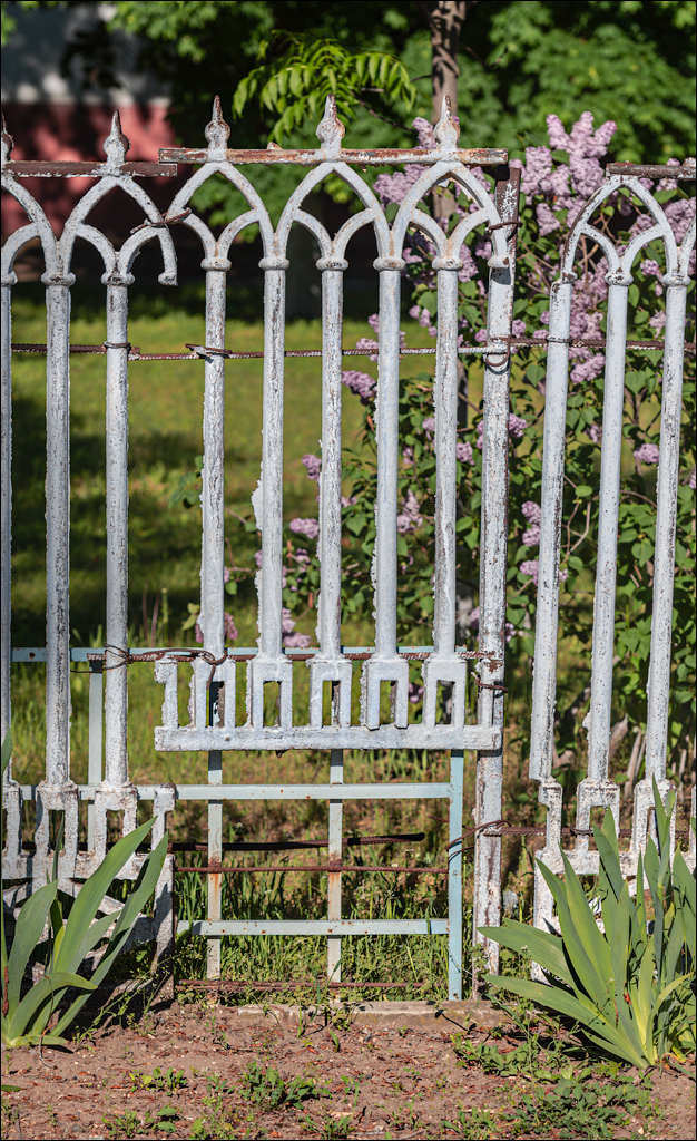 GuraBicului Dragalina 20210515 122