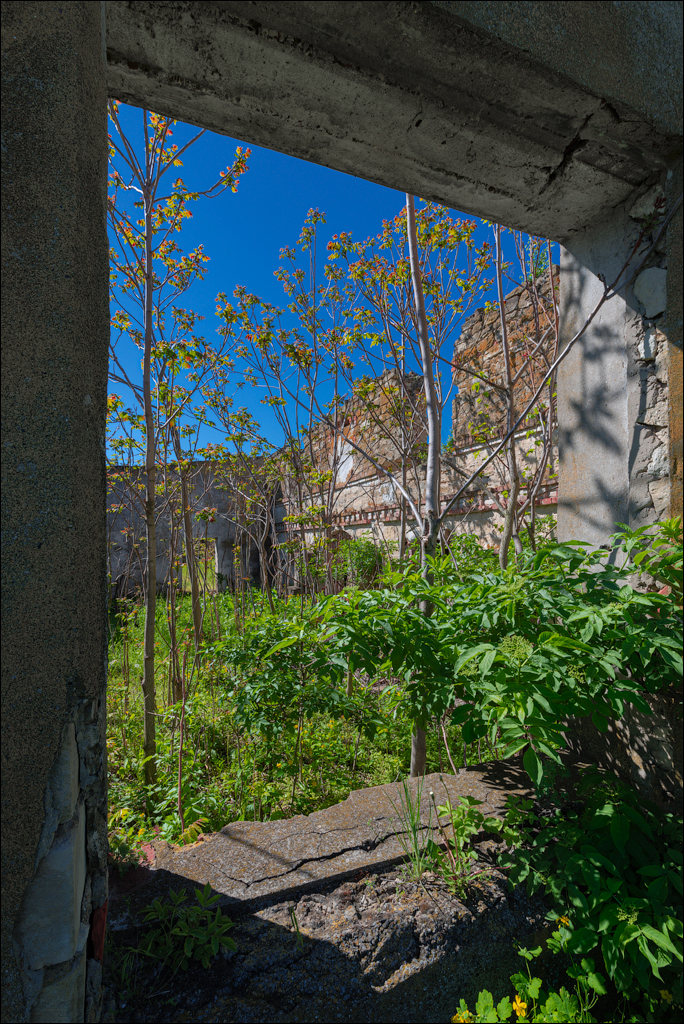 GuraBicului Dragalina 20210515 140