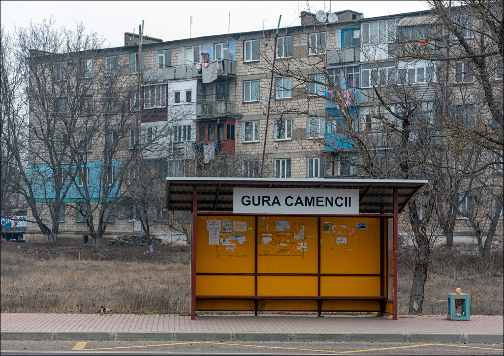 GuraCamencii Floresti 21022020 00