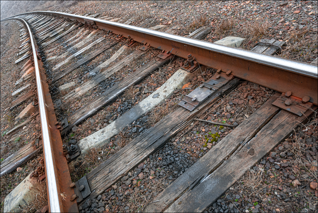 GuraCamencii Floresti 21022020 11