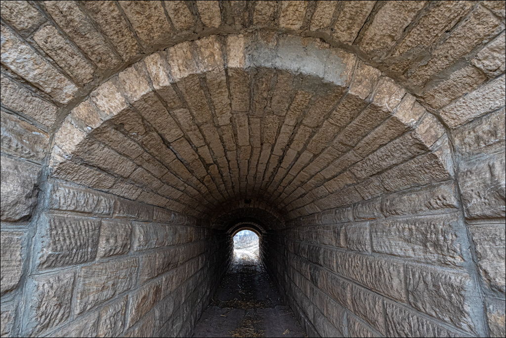 GuraCamencii Floresti 22022020 14