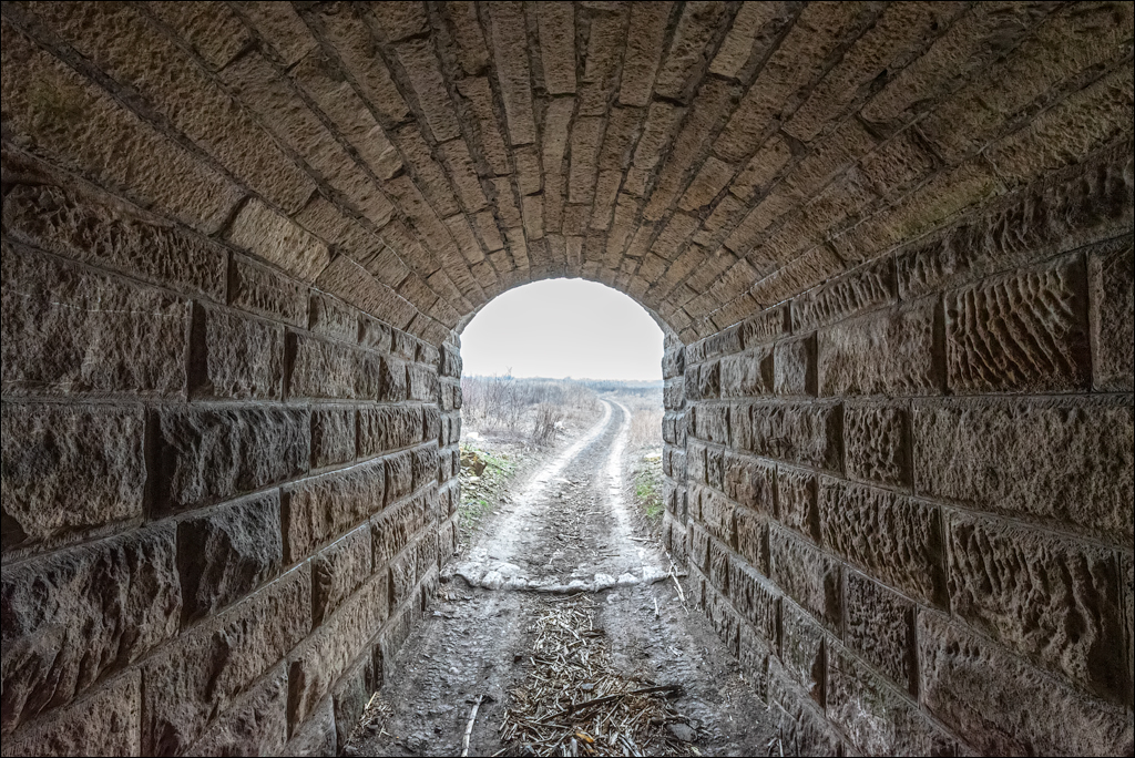 GuraCamencii Floresti 22022020 16